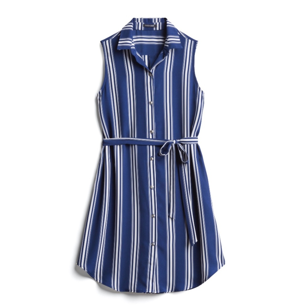 Shirt Dress (small)